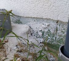 Un peu de gris, un peu de blanc, un peu de vert sur les soubassements. Le CDT ne semble pas préoccupé par la propreté du chantier