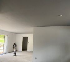 Peinture plafond (gris)