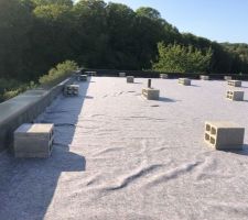 Fin EPDM