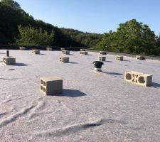 Fin EPDM