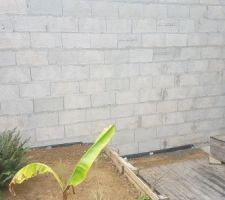 Mur de fa&ccedil;ade donnant sur le terrain voisin.