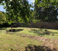 Premiers nettoyage du terrain pour pr&eacute;paration