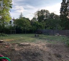 Premiers nettoyage du terrain pour pr&eacute;paration