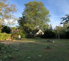 Premiers nettoyage du terrain pour pr&eacute;paration