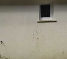 Fa&ccedil;ade face au mur de sout&egrave;nement