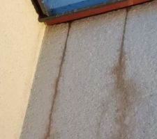 Couvertines fuyantes