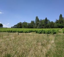 Vue du terrain