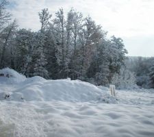 Neige le lundi 29 novembre 2010.