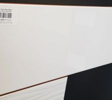 Faïence grès Arte One Glossy blanc brillant 20 x 50 cm.
WC Rdc.