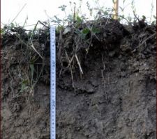 Fouilles en cours - profondeur par rapport au sol naturel