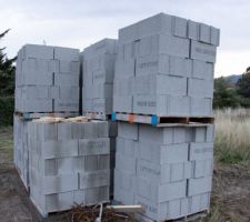 Agglos 20*25*50 - 11 palettes de 50