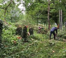 Nous n'avions pas demandé l'évacuation des "déchets" ... Autant vous dire que nous n'avions pas mesurer l'ampleur de la tache ! Un petite dizaine d'arbre, de branches et donc de troncs ... Qui n'était pas débités !