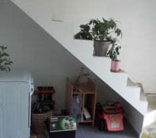 Espace sous-escalier &agrave; amenager (Avant)