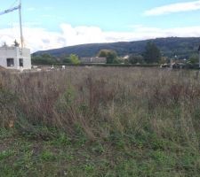 Le terrain, un peu en friche pour le moment