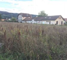 Le terrain, un peu en friche pour le moment