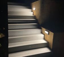 Escalier paysagé de nuit