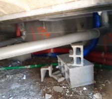 Vide sanitaire