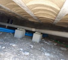 Vide sanitaire