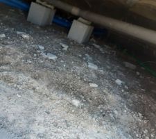 Vide sanitaire