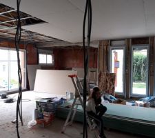 Salle &agrave; manger/salon et cuisine