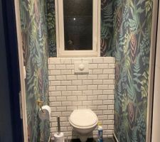 Pose Papier-peint WC