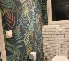 Pose Papier-peint WC