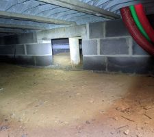 Vide-sanitaire
