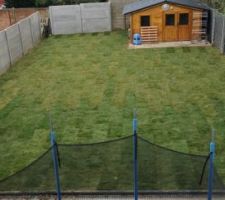 Jardin fini pose du gazon