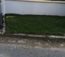 Devant le portail, tant qu'a faire autant mettre aussi dans la rue, la particularité de notre commune c'est que les trottoirs sont en terre :( pas de goudron ni cailloux il faut laisser de la terre donc nous avons mis aussi du gazon en espérant que les chiens ne fassent pas ou plutôt plus leur besoin dessus