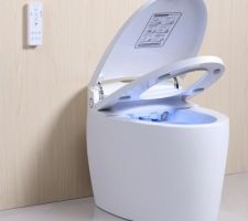 Recherche de modèle de toilettes japonaises