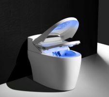 Recherche de modèle de toilettes japonaises