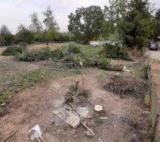 Les arbres abattus ! Ca va en faire du boulot au broyeur !