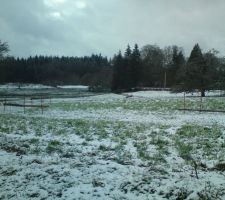 Implantation "figée" sous la neige...