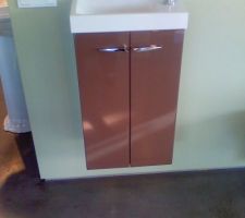 Meuble dans WC invité, mais il sera orange vif et avec un autre robinet