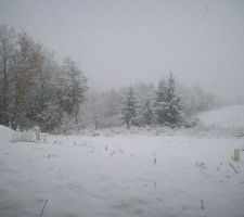 SOUS LA NEIGE