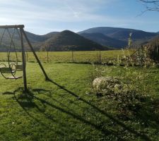 Saule crevette côté ouest. Abrité par les arbres du voisin (mais pas suffisamment je pense)