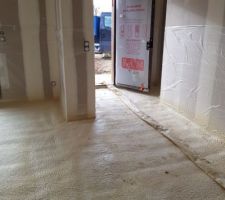 Mousse polyurethane