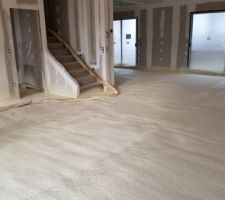 Mousse polyurethane