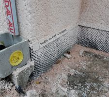 crépis sur profilé