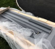 Début de la construction de la cabane de jardin avec un public attentif !!
