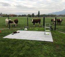 Début de la construction de la cabane de jardin avec un public attentif !!