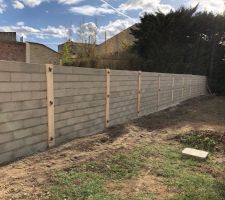 Coulage du béton au niveau des ferraillages pour le mur mitoyen arrière