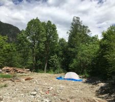 Voici le jardin c&ocirc;t&eacute; Est (le torrent coule au fond dans les bois). La maison arrive maintenant jusqu'&agrave; l'endroit o&ugrave; nous avions mis notre tente en mai dernier au moment du d&eacute;confinement. Le paysagiste me conseille de couper la t&ecirc;te de certains des arbres pour avoir plus de soleil le matin... mais non seulement ils sont beaux mais ils h&eacute;bergent de nombreux oiseaux, car c'est encore la zone naturelle qui dessend de la montagen autour du torrent. Nous allons les laisser comme cela...