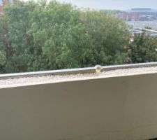 Balcon