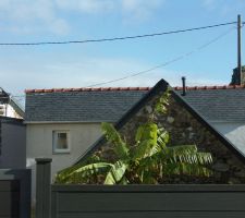 Couverture grande remise