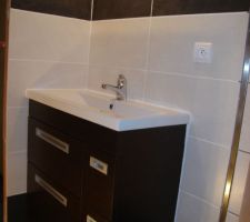 Douche du bas :
après adaptation (retrait des pieds), mise en place du meuble (acheté chez bricorama)