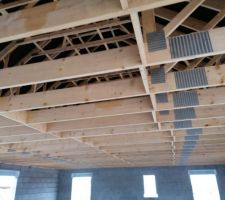 La largeur de la maison est 10m? Les poutres sont reli&eacute;es entre elles par des plaques d'acier...
C'est pas tr&egrave;s rassurant si on envisage d'am&eacute;nager les combles. Les amis consult&eacute;s nous rassur&eacute;s, c'est suffisant . Mon &eacute;pouse aurait aim&eacute; un mur de sout&egrave;nement...