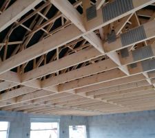 La largeur de la maison est 10m? Les poutres sont reli&eacute;es entre elles par des plaques d'acier...
C'est pas tr&egrave;s rassurant si on envisage d'am&eacute;nager les combles. Les amis consult&eacute;s nous rassur&eacute;s, c'est suffisant . Mon &eacute;pouse aurait aim&eacute; un mur de sout&egrave;nement...