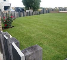 Gazon de placage pos&eacute;