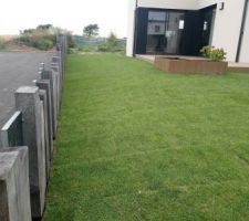 Gazon de placage pos&eacute;